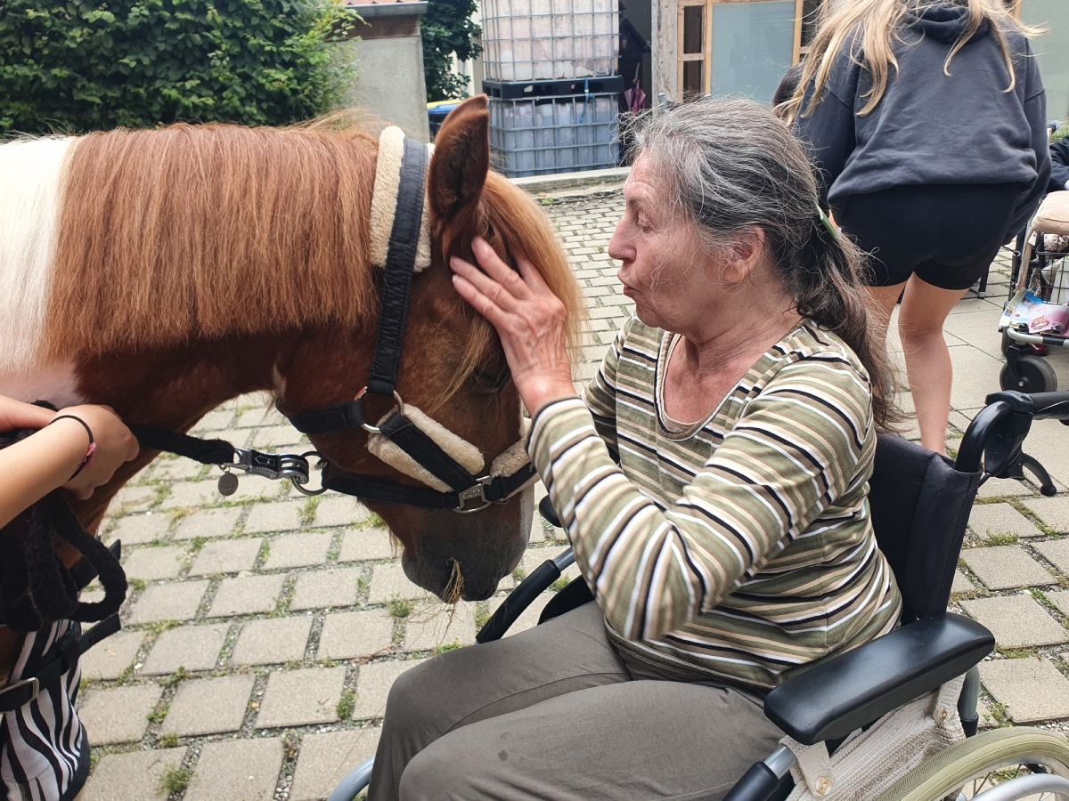 Mehr über den Artikel erfahren Tierischer Besuch erheitert Senioren – Sozial-AG bringt Überraschungsgast mit